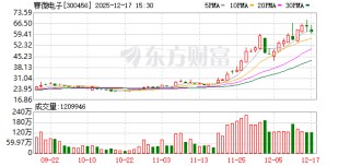 赛微电子：公司境内外产线均可以为客户提供与硅光芯片晶圆相关的工艺开发及晶圆制造服务