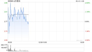 山东墨龙遭股东智梦控股累计减持2881万股H股