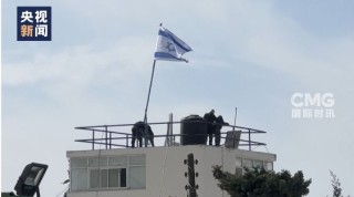 约旦、阿联酋、印度尼西亚、巴基斯坦、土耳其、沙特、卡塔尔和埃及八国外长发表联合声明！强烈谴责以色列