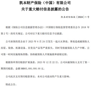 一起重大赔付拉开凯本财险业务调节、人事更迭大幕：总资产连年下降，保费持续负增长，掌舵人生变