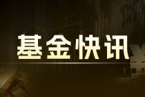 智翔金泰：连续 4 跌 工银基金有动作