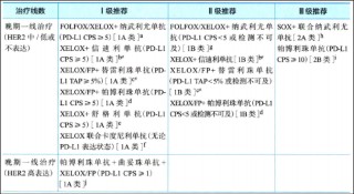 媲美K药？安科生物HuA21临床数据读出，HER2阳性胃癌一线治疗迎来国产强敌 | 新药价值解码