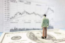 期货交易中如何判断主力品种？这些主力品种的变化规律是什么？