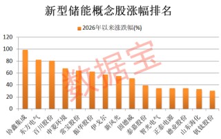 新型储能被列入新兴支柱产业！21只概念股业绩高增长