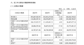 沪市2025年第一份年报：芯导科技净利下滑4.9%仍高比例分红，同日启动4.03亿元重大重组