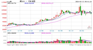 中信建投期货：2月13日工业品早报