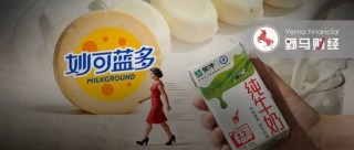 蒙牛“亮剑”，“奶酪女王”为何在资本博弈中出局？