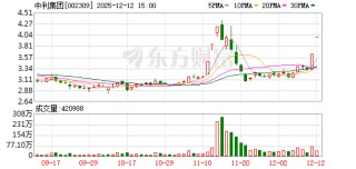 中利集团：无逾期对外担保