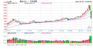 快讯：沪金主力合约触及跌停，跌幅16%，现报1005.4元/克