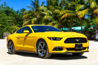 如何给汽车充电？不同车型充电方式有何不同？