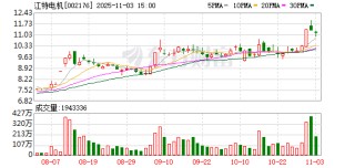 江特电机：公司及控股子公司不存在逾期对外担保