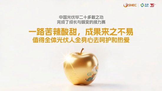 协鑫集团朱共山：以牺牲合理利润为代价的极致降本、极限竞争，无异于饮鸩止渴  第8张