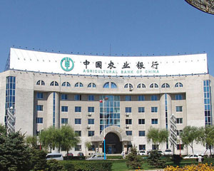 为什么有些银行网点总是在推广适老化服务改造？  第1张