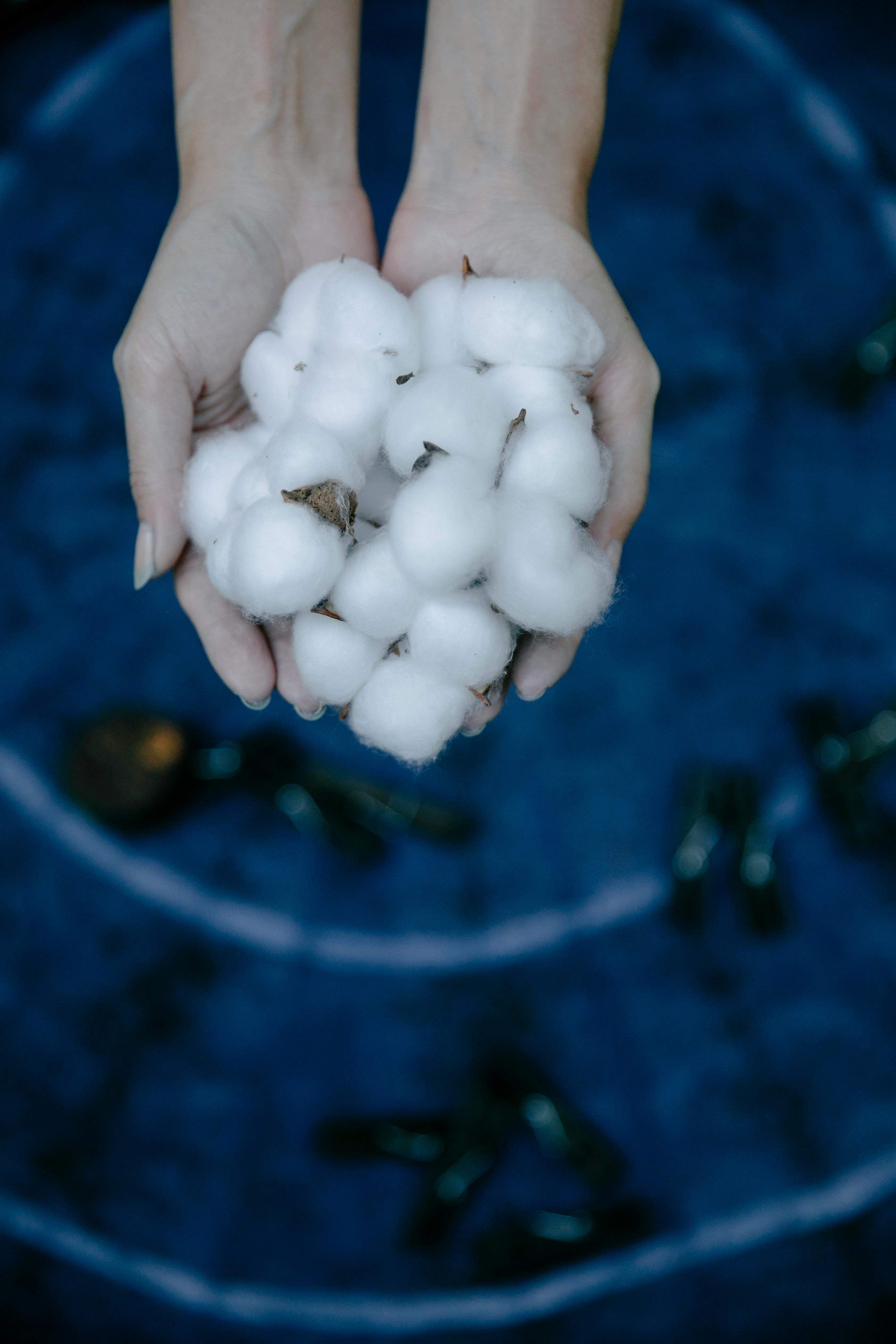 如何分析棕榈油能做期货的缘由?棕榈油期货交易有何特点? 第1张 如何分析棕榈油能做期货的缘由?棕榈油期货交易有何特点? 第1张