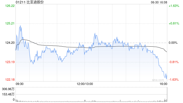 比亚迪股份上半年新能源汽车销量约214.6万辆 同比增长33.04%  第1张