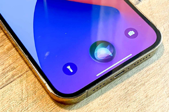 苹果将采用谷歌Gemini AI为Siri提供技术支持  第1张