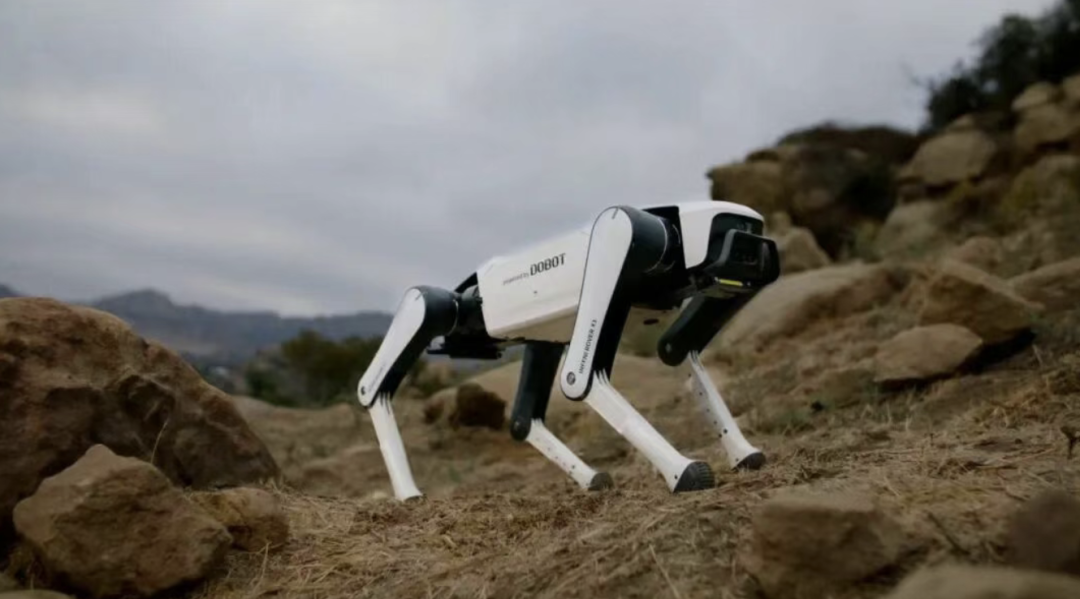 蓝思科技,获10000台机器狗订单 第2张 蓝思科技,获10000台机器狗订单 第2张