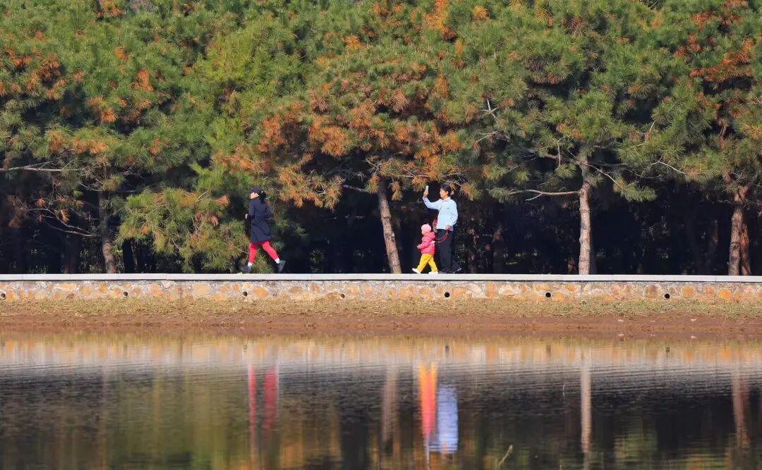 坝河“破茧”焕新,点亮城市滨水生活 第6张 坝河“破茧”焕新,点亮城市滨水生活 第6张