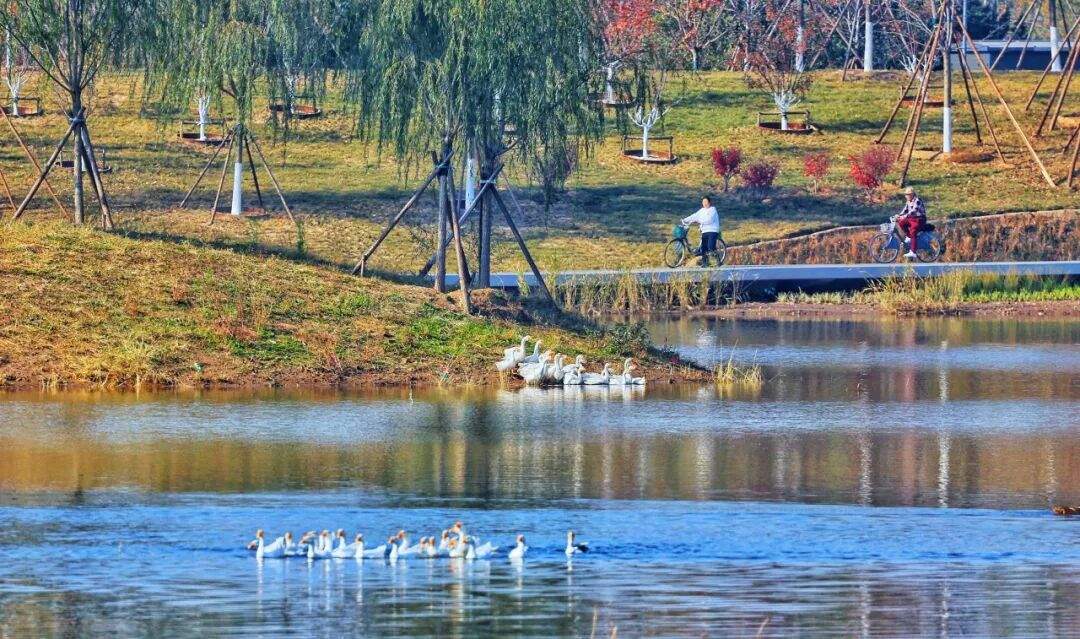 坝河“破茧”焕新,点亮城市滨水生活 第7张 坝河“破茧”焕新,点亮城市滨水生活 第7张