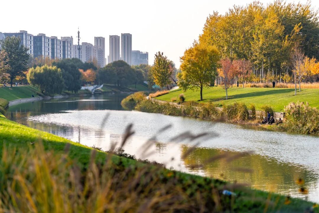 坝河“破茧”焕新,点亮城市滨水生活 第8张 坝河“破茧”焕新,点亮城市滨水生活 第8张