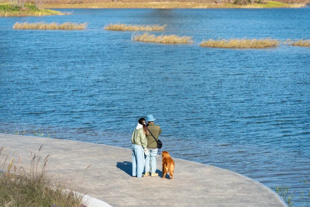 坝河“破茧”焕新,点亮城市滨水生活 第9张 坝河“破茧”焕新,点亮城市滨水生活 第9张