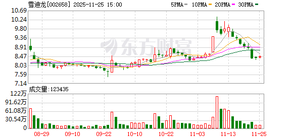 雪迪龙：无逾期对外担保情形  第1张
