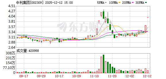 中利集团：无逾期对外担保  第1张