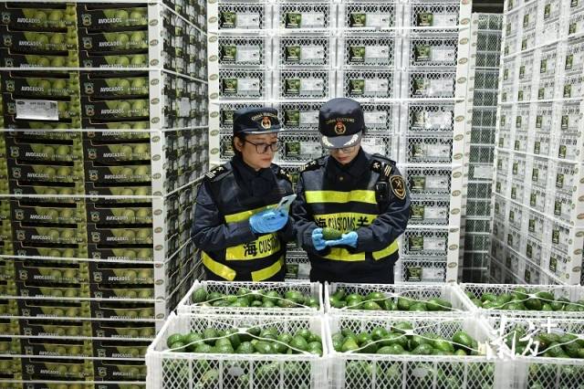 2025年最后一场国常会，为何部署这项重要议题？  第1张