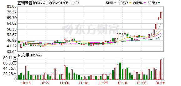 五洲新春成交额创上市以来新高  第1张