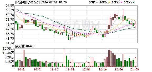 胜蓝股份：公司不存在逾期担保  第1张