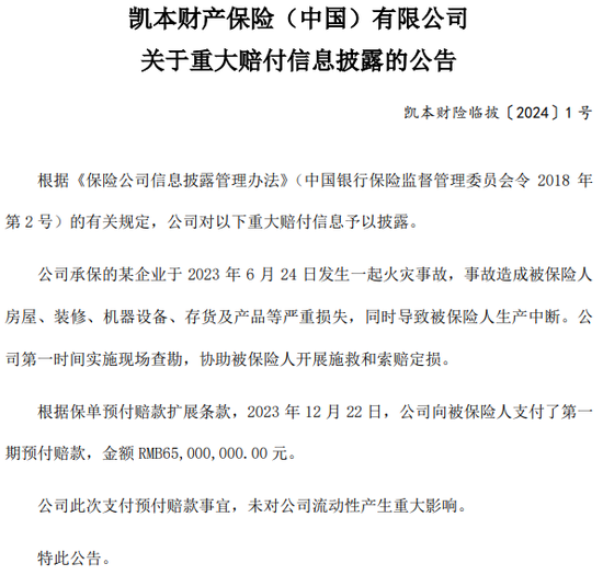 一起重大赔付拉开凯本财险业务调节、人事更迭大幕:总资产连年下降,保费持续负增长,掌舵人生变 第6张 一起重大赔付拉开凯本财险业务调节、人事更迭大幕:总资产连年下降,保费持续负增长,掌舵人生变 第6张