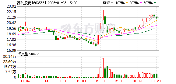 苏利股份：公司无逾期担保  第1张