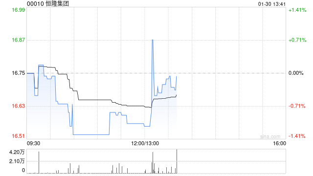 恒隆集团发布年度业绩 股东应占基本纯利上升3%至24.07亿港元  第1张
