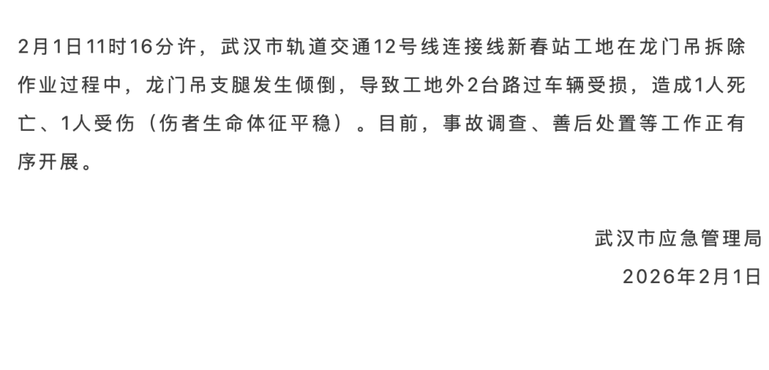 武汉一龙门吊倒塌砸中汽车，官方通报  第1张