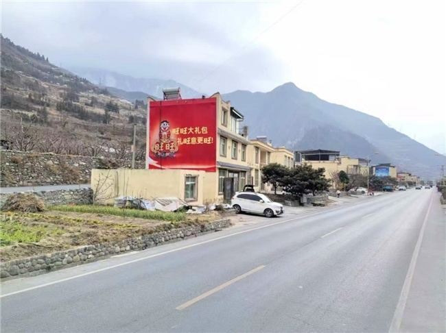 旺旺搞大事了!刷遍全国农村, 方言喊出最浓中式年味 第9张 旺旺搞大事了!刷遍全国农村, 方言喊出最浓中式年味 第9张