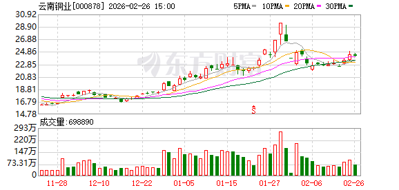 云南铜业：截至2025年6月末，公司保有铜资源矿石量9.56亿吨  第1张