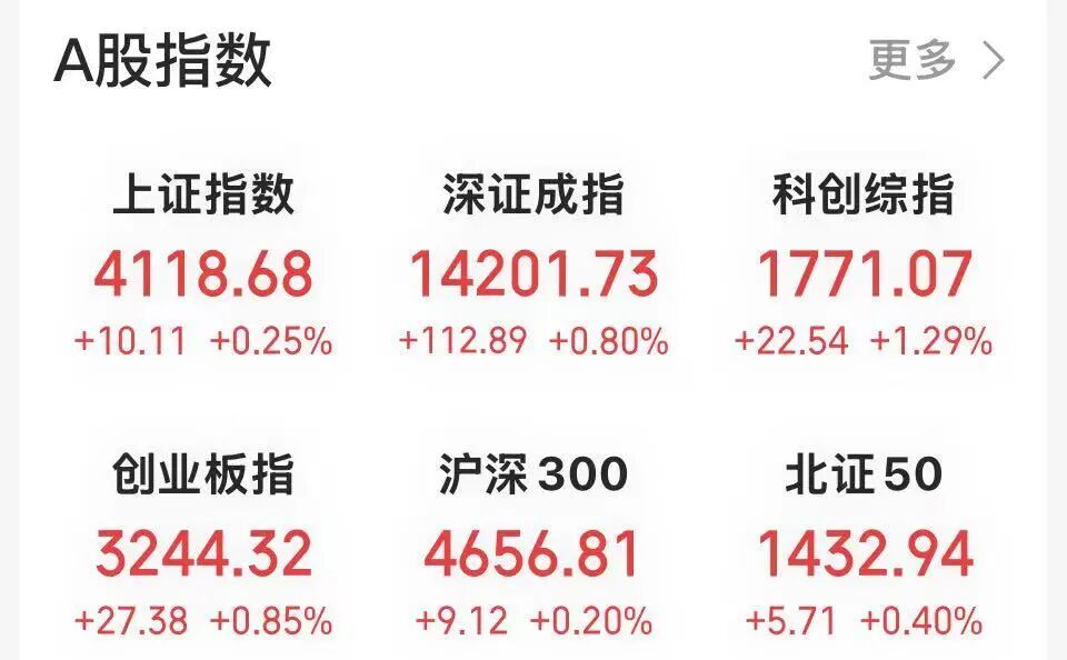 500亿市值龙头，盘中触及涨停  第1张