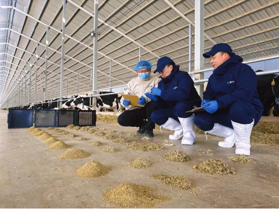 蒙牛发布2025年财报：进化强韧性，蓄力迎增长  第5张